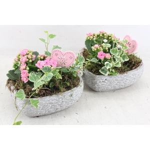 arr2 JS - Cement hart 335/3