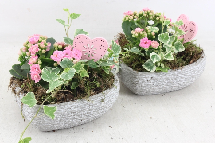 <h4>arr2 JS - Cement hart 335/3</h4>