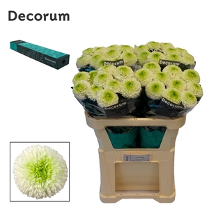 Chr G Alibaba