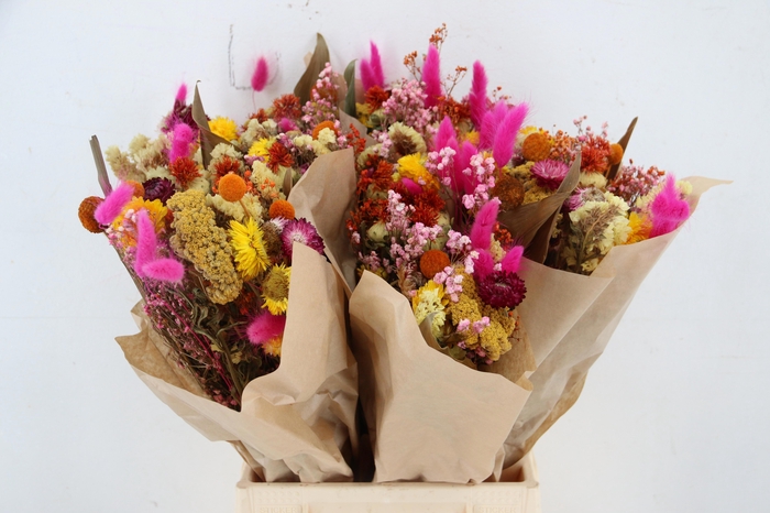 <h4>DROOGBL BEWERKT H%</h4>