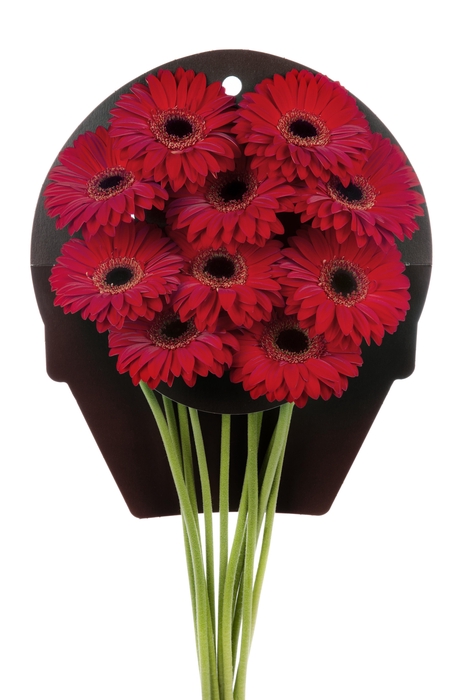 <h4>Gerbera Blinddate Water x40</h4>
