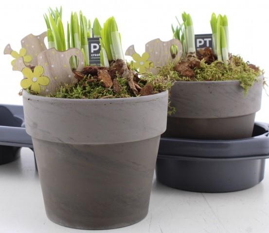 <h4>ARR N TETE A TETE</h4>