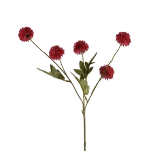 AF Gompy spray x5 L51cm rose