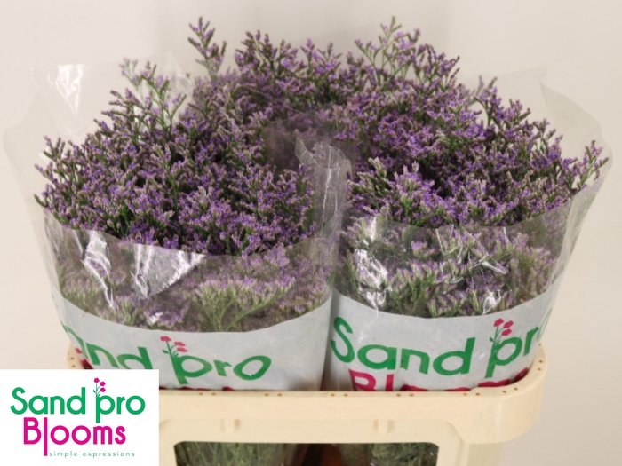 <h4>LIM OV SKYLIGHT</h4>