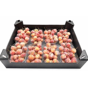WAXMALUS GL NATUREL