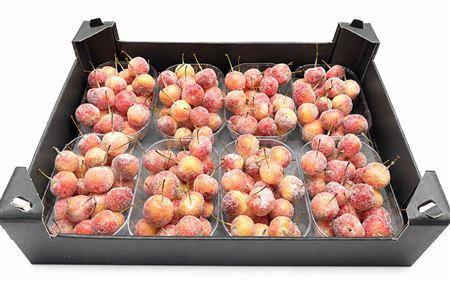 <h4>WAXMALUS GL NATUREL</h4>
