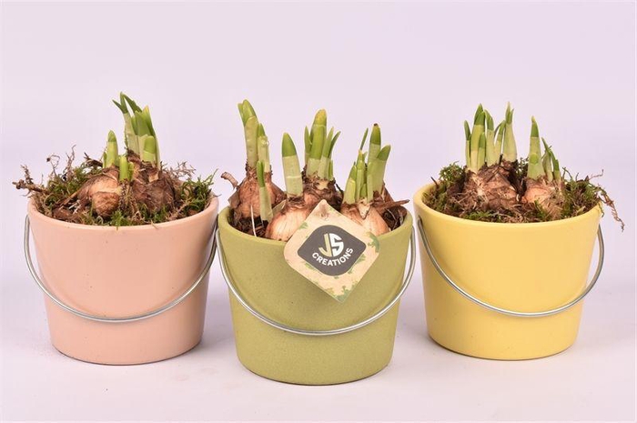 <h4>Keramiek Bamboo Matte 12cm Keramiek Citrus Matte 12cm Keramiek Rose Blossom Matt</h4>