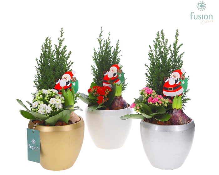 <h4>Keramiek pot met arrangement</h4>