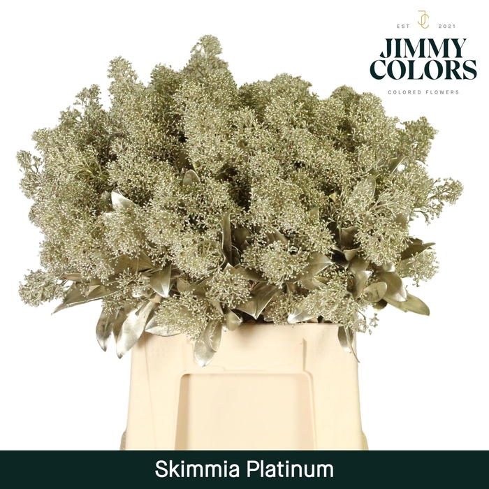 <h4>Skimmia per bos L45 Mtlc. platina + glitter</h4>