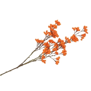 Silk Berry Spice Orange 108cm