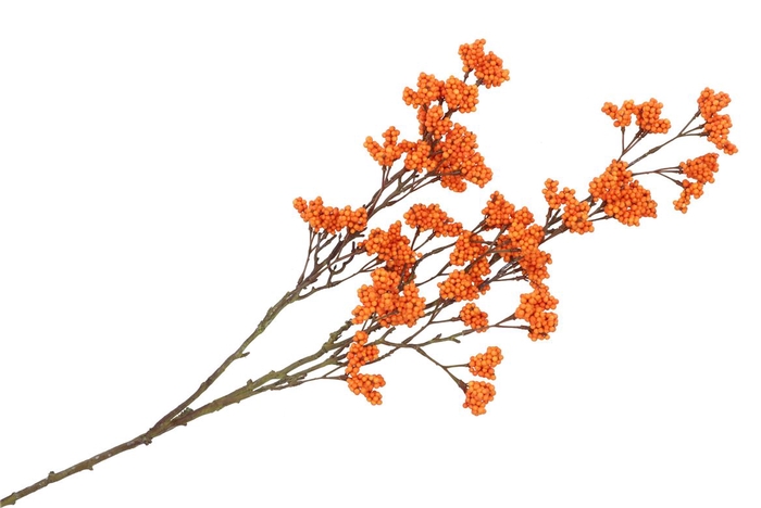 <h4>Silk Berry Spice Orange 108cm</h4>