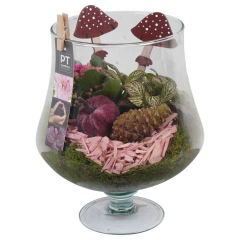 <h4>PTHG3405 Arrangementen kamerplanten</h4>