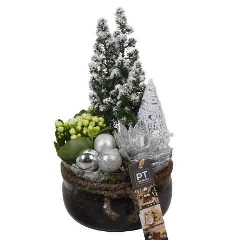 <h4>PTCHW4371 Arrangementen Kerst</h4>