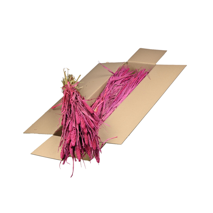 <h4>Setarea Italica Sb Cerise</h4>