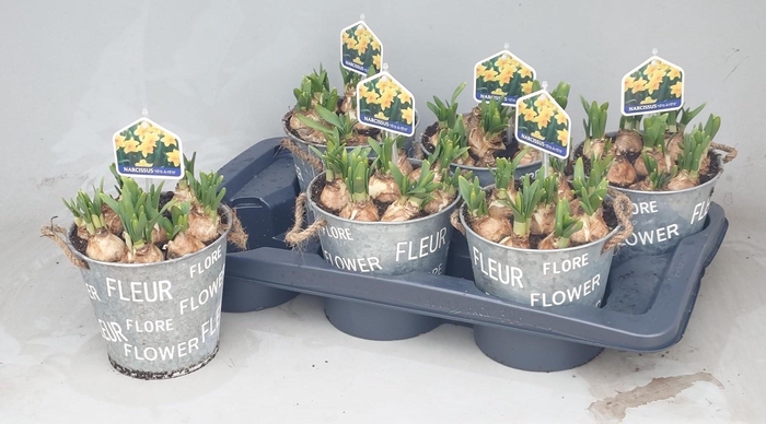 <h4>ARR N TETE A TETE</h4>