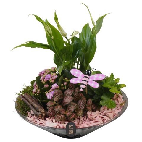 <h4>PTIG2668 Arrangement Indoor in glas schaal</h4>