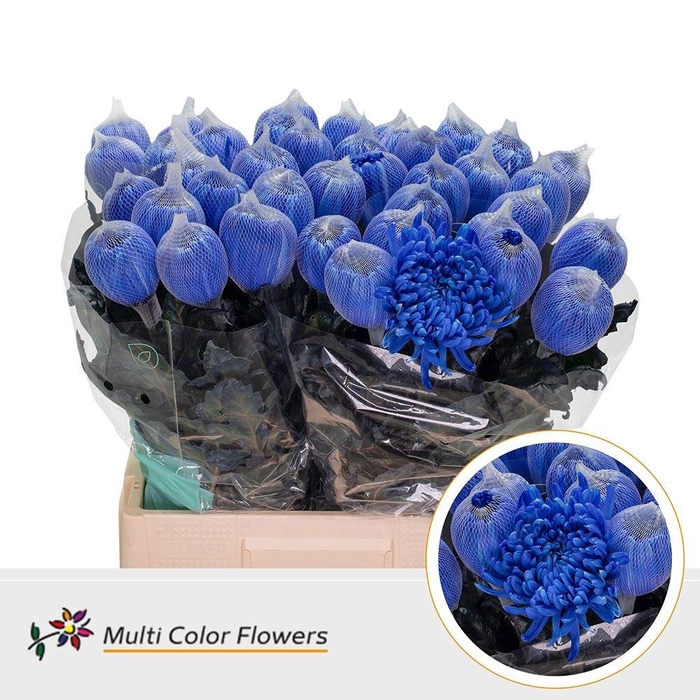 <h4>Chr. G 'Antonov' Blue Dark DYED</h4>