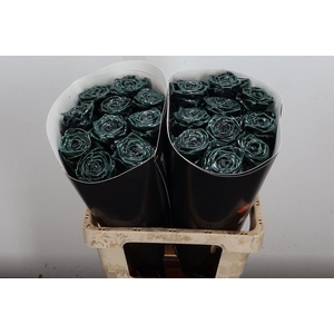 R Wx (rn) Green Dark