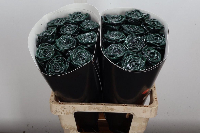 <h4>R Wx (rn) Green Dark</h4>