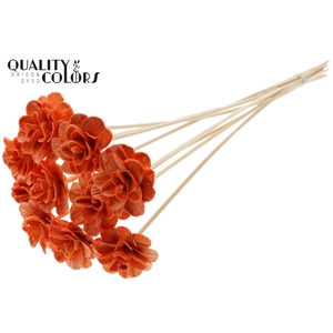 Beetal Rose 6cm on stem Wax Orange