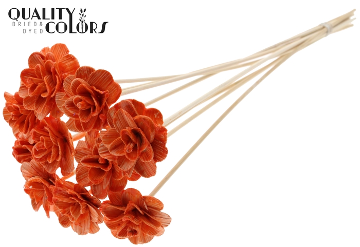 <h4>Beetal Rose 6cm on stem Wax Orange</h4>