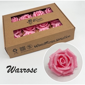 Zijde R Wx Roze