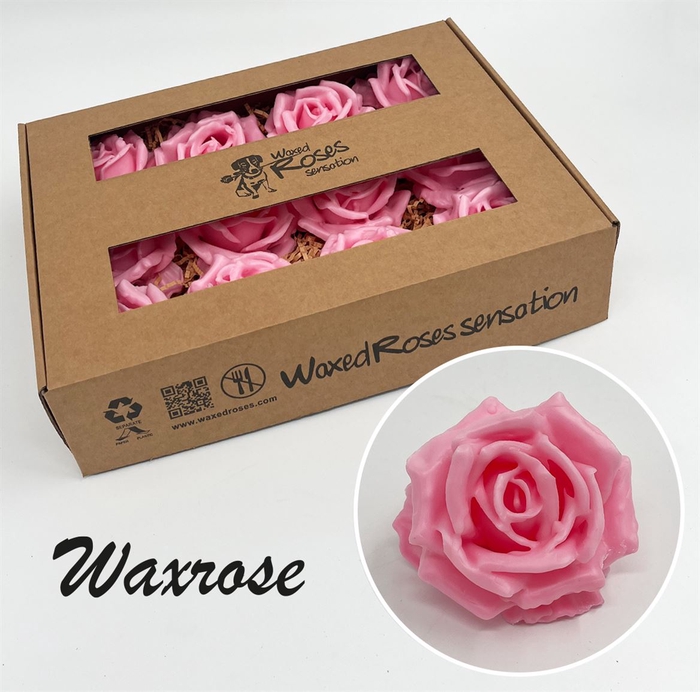 <h4>Zijde R Wx Roze</h4>