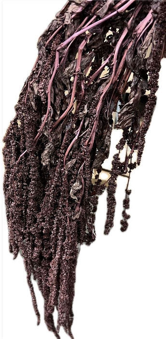 <h4>Pres Amaranthus Bleached Brown</h4>