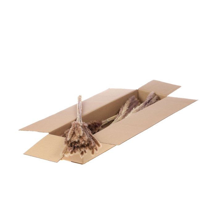 <h4>Reed Bunch 70gr Sb Natural</h4>