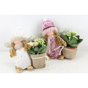 arr2 MB - Sneeuw vrouw lila wit