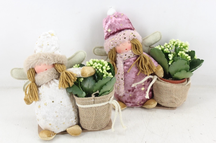 <h4>arr2 MB - Sneeuw vrouw lila wit</h4>