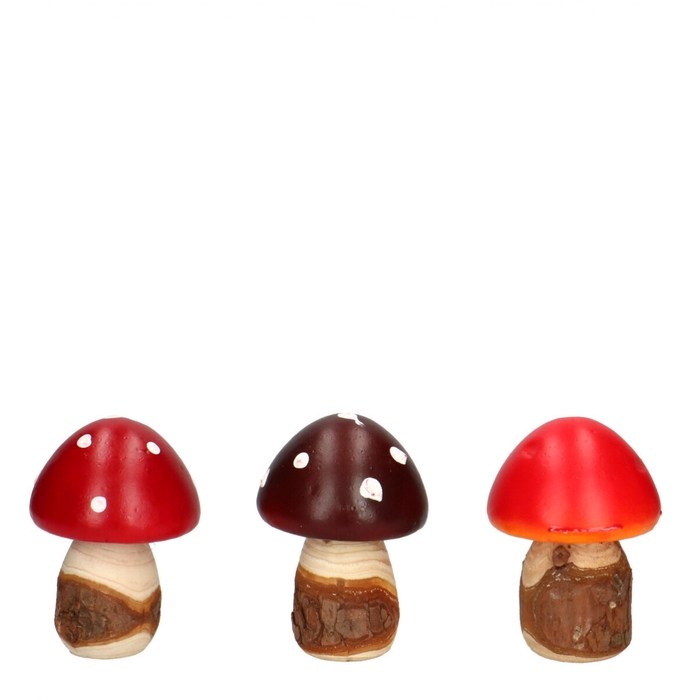 Autumn Mushrooms Pixie d06*9cm
