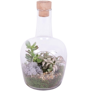 Yearround Arr. Indoor Glass Vase with Hole Ø18cm 2PP