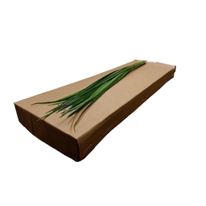 Lillygrass 80cm