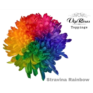 CHR G STRAVINA RAINBOW