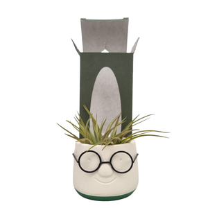 Tillandsia Dude gift package