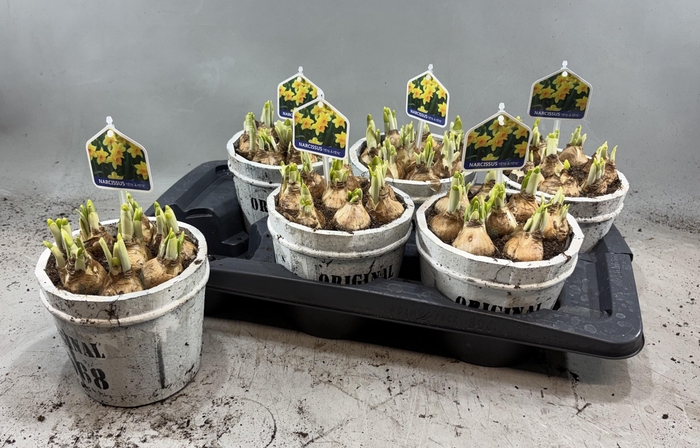 <h4>ARR N TETE A TETE</h4>