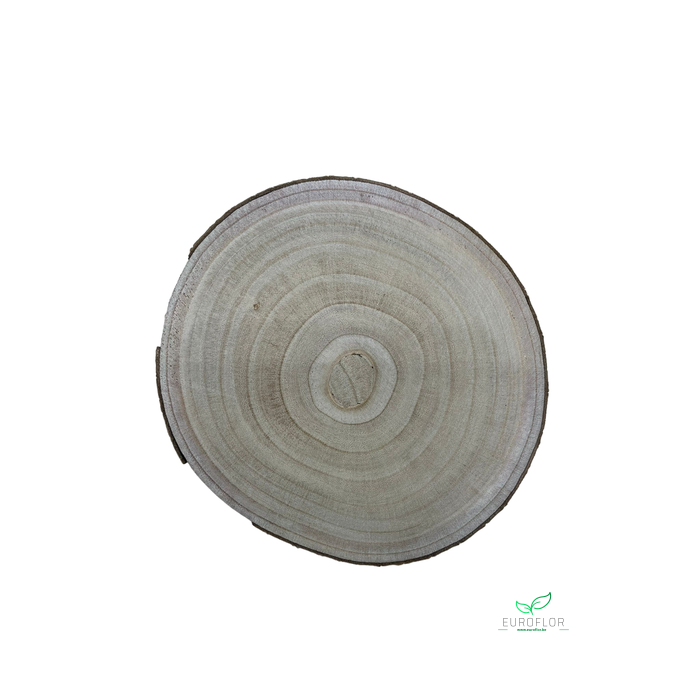 <h4>PAULOWNIA WOOD SLICE 30CM H2CM</h4>