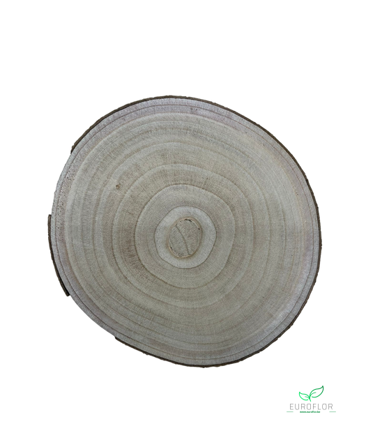 PAULOWNIA WOOD SLICE 30CM H2CM