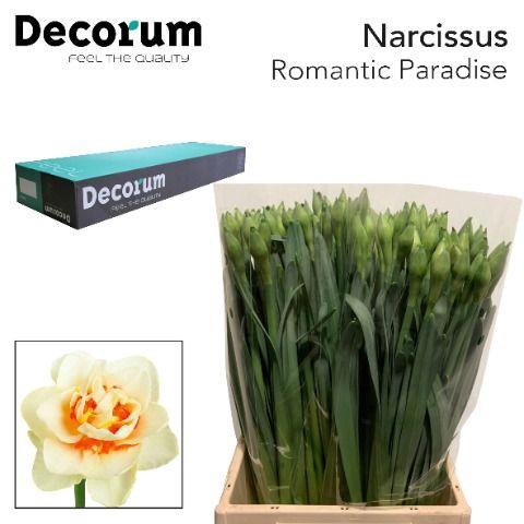 <h4>Narcissus Romantic Paradise Small Box 100</h4>