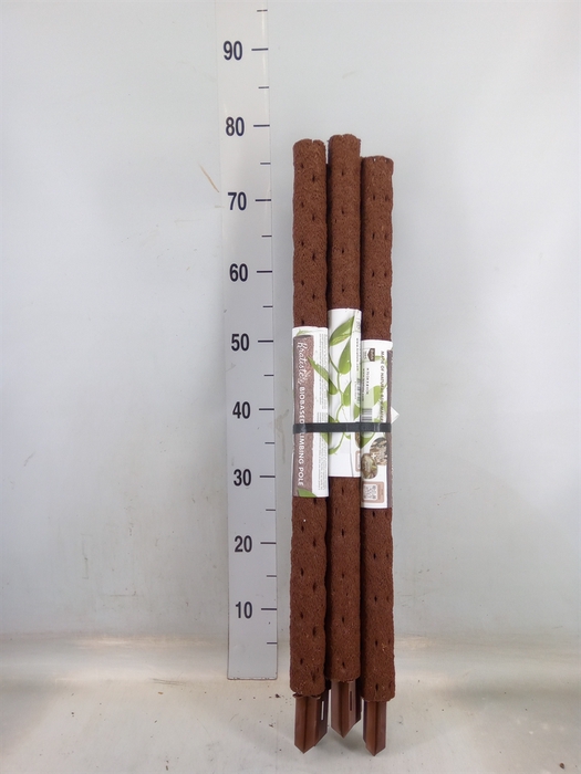 <h4>Decoratie  ..Klimstok composteer H%</h4>