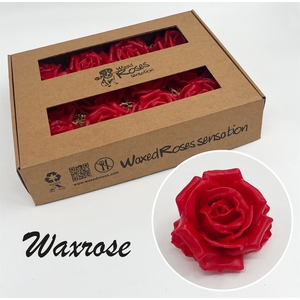 Zijde R Wx Rood