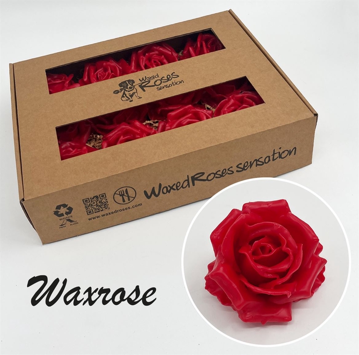 <h4>Zijde R Wx Rood</h4>
