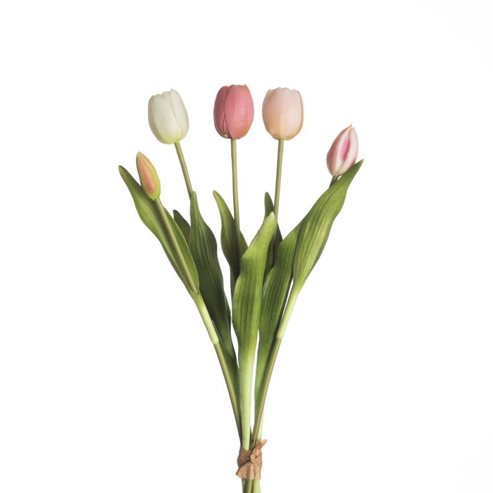 <h4>AF Tulip Bundle x5 L43cm Mix P</h4>