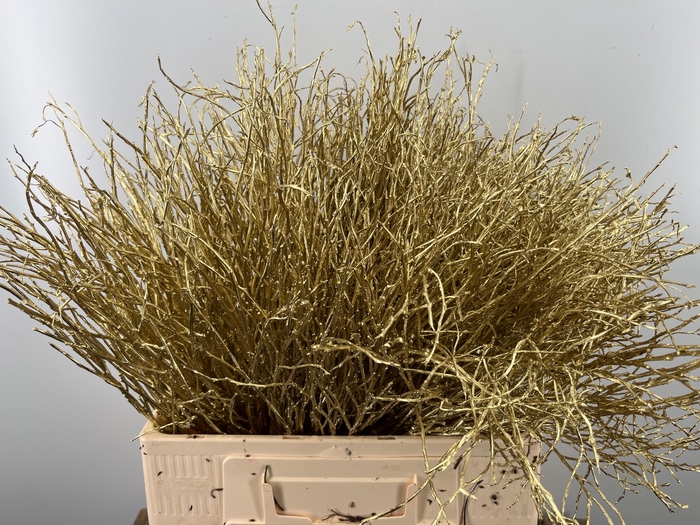 <h4>VACC KLB H%</h4>