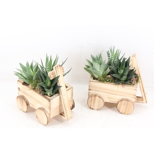 arr3 SN - Houten bolderkar