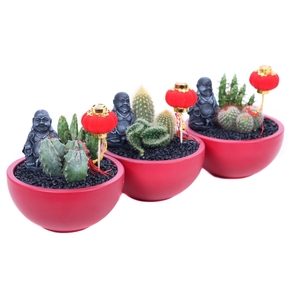 Opgemaakte rode schaal met buddha en lampion bijsteker