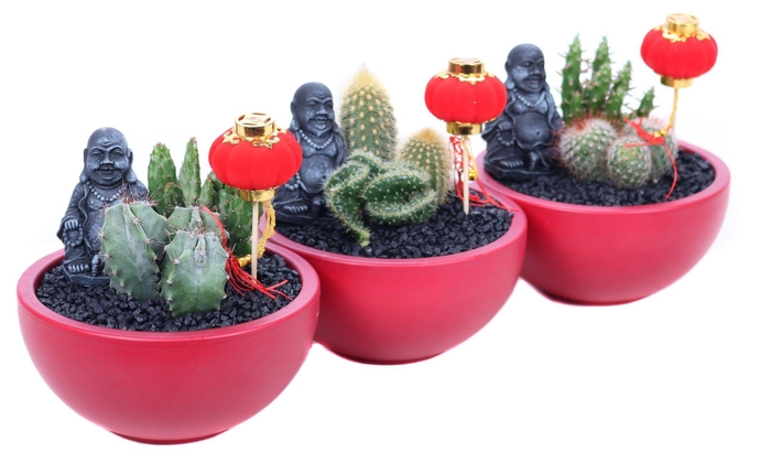 <h4>Opgemaakte rode schaal met buddha en lampion bijsteker</h4>