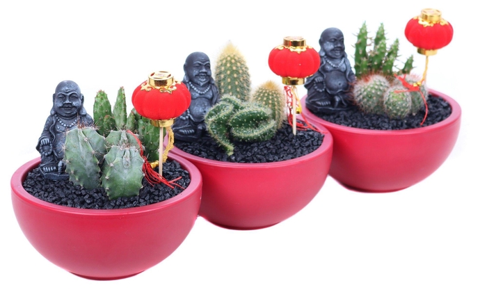 <h4>Opgemaakte rode schaal met buddha en lampion bijsteker</h4>