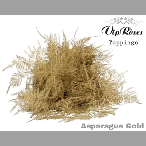 ASP OV 1E VEREN GOLD